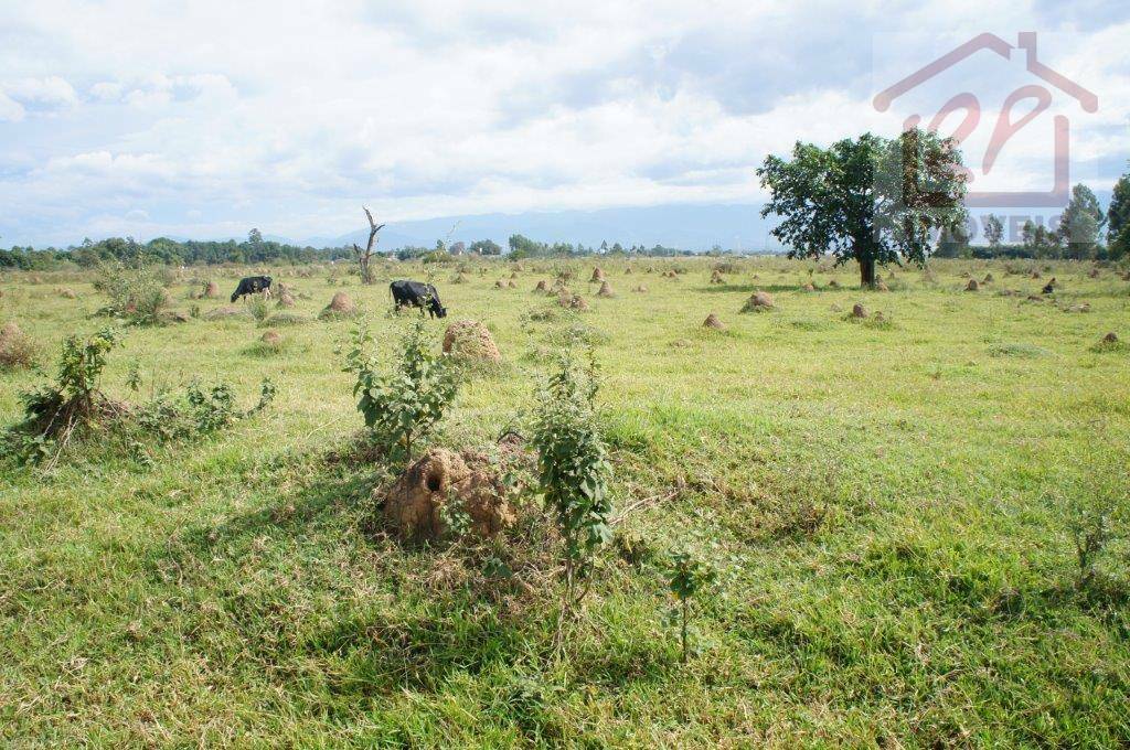 Terreno à venda, 800000M2 - Foto 3