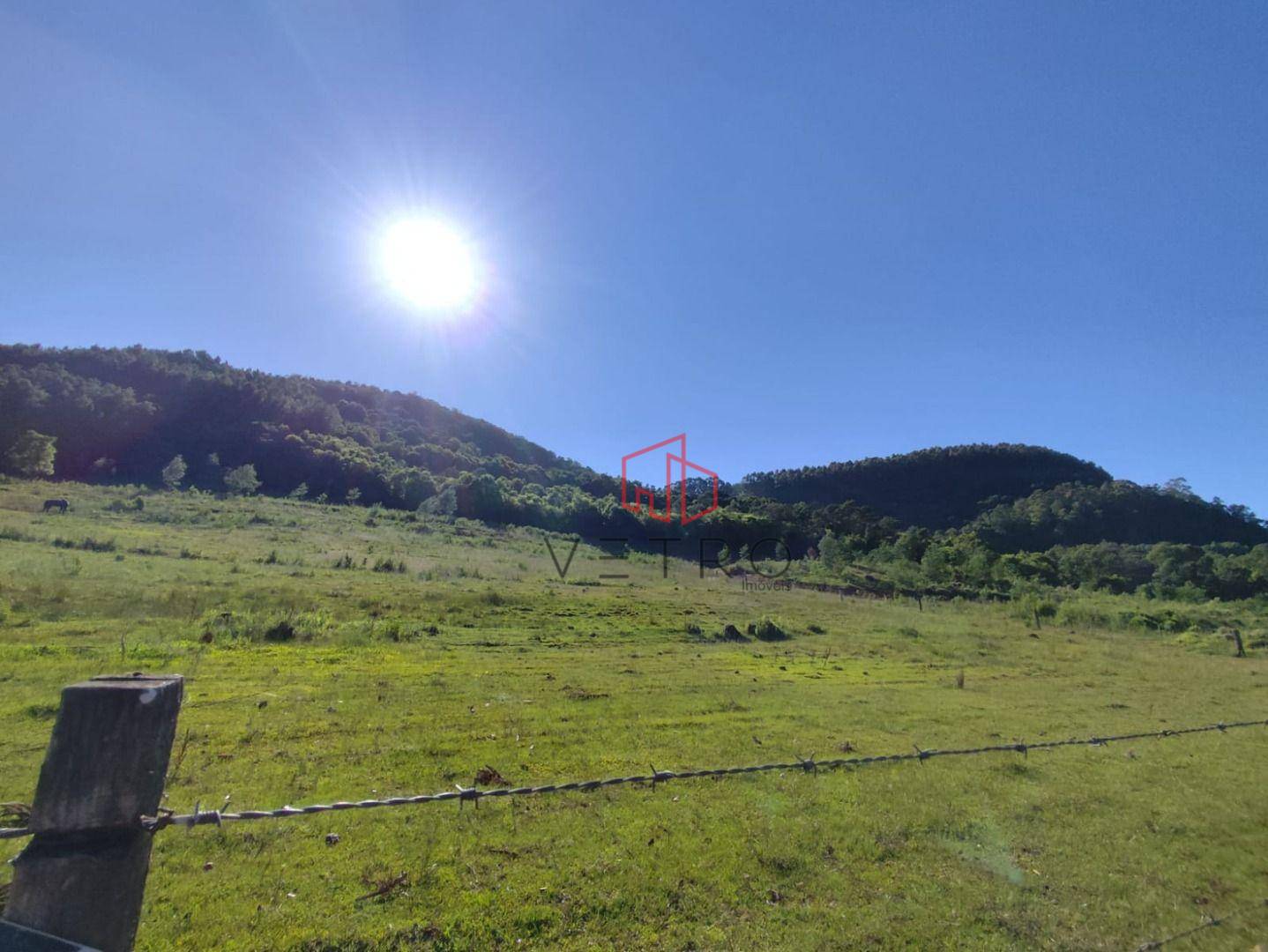 Sítio, 4 hectares - Foto 4