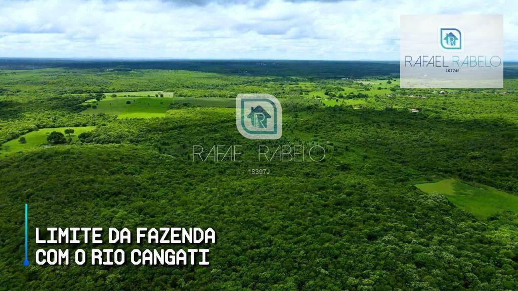Fazenda-Sítio-Chácara, 162 hectares - Foto 4