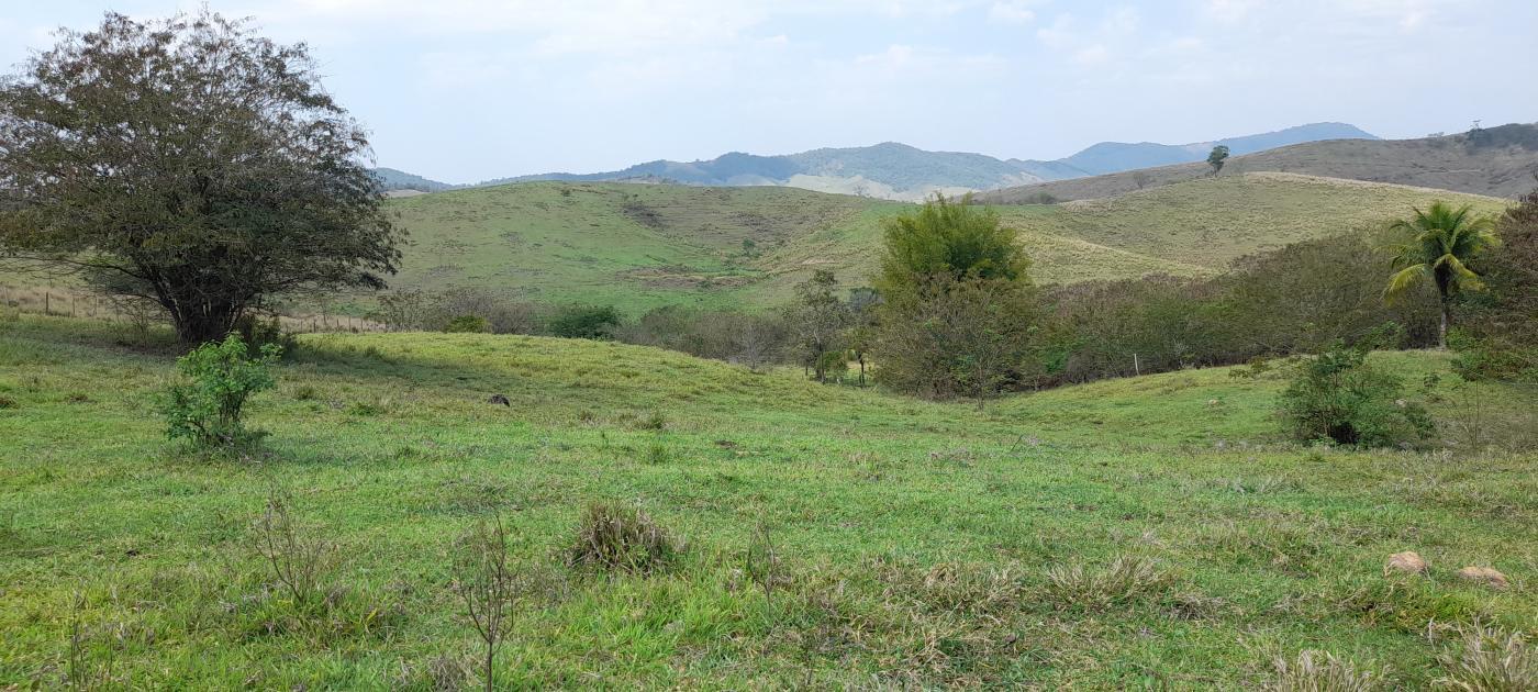 Fazenda à venda com 2 quartos, 20000m² - Foto 13