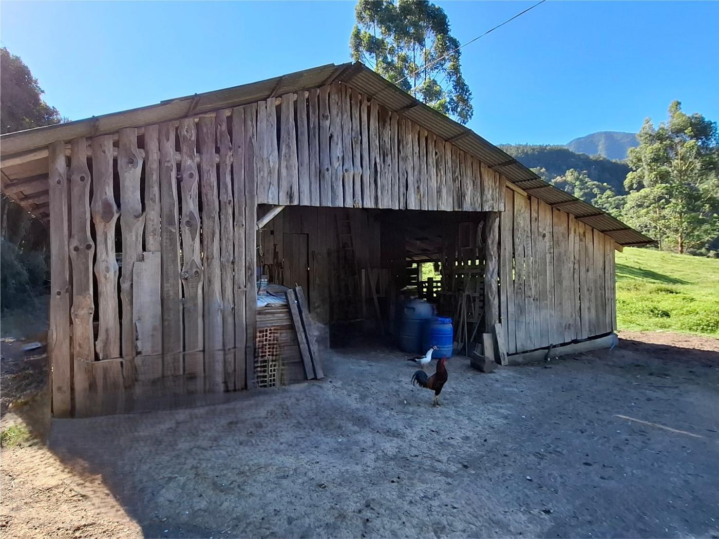 Fazenda à venda com 3 quartos, 90000m² - Foto 23