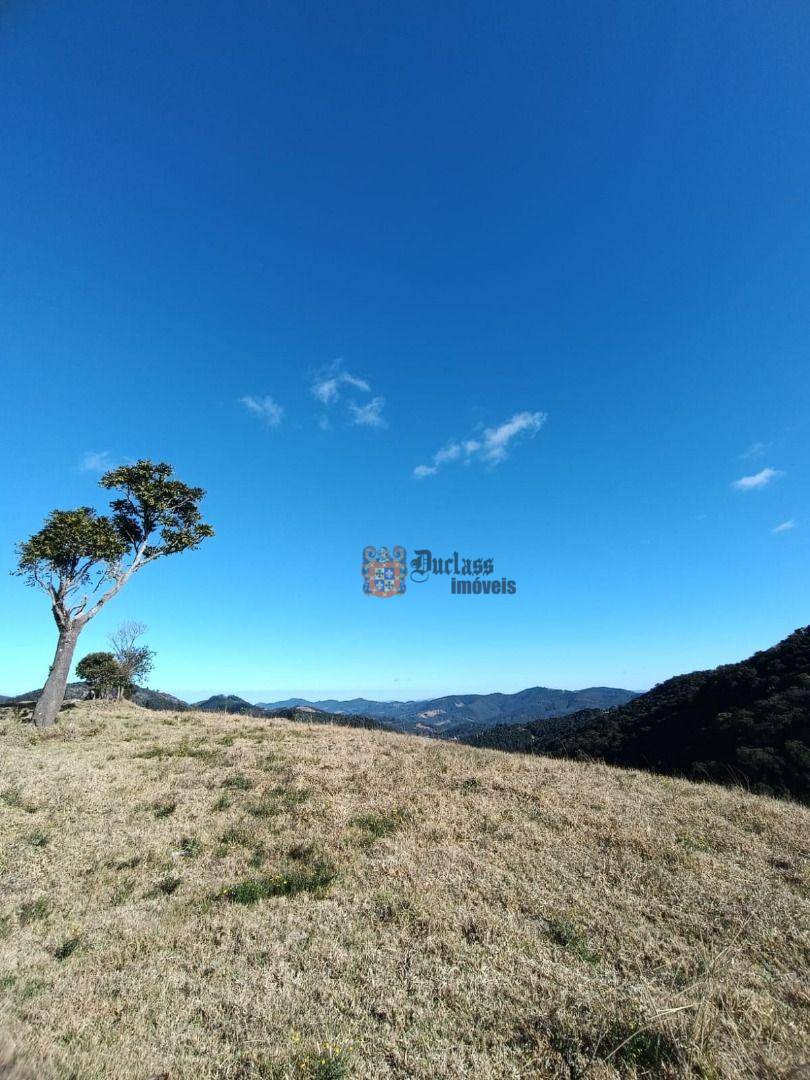 Terreno, 15 hectares - Foto 18