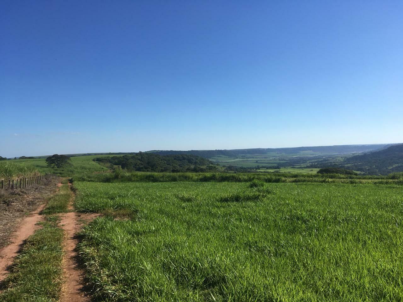 Fazenda à venda com 1 quarto, 3000800m² - Foto 2