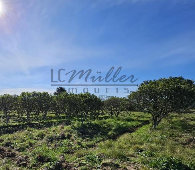 Sítio à venda, 62m² - Foto 17