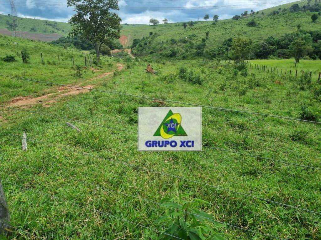 Fazenda-Sítio-Chácara, 250 hectares - Foto 16