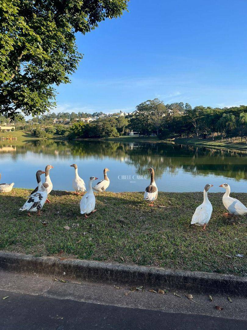 Loteamento e Condomínio à venda, 780M2 - Foto 3