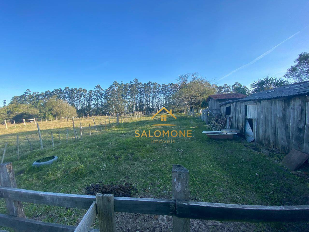 Sítio, 13 hectares - Foto 4