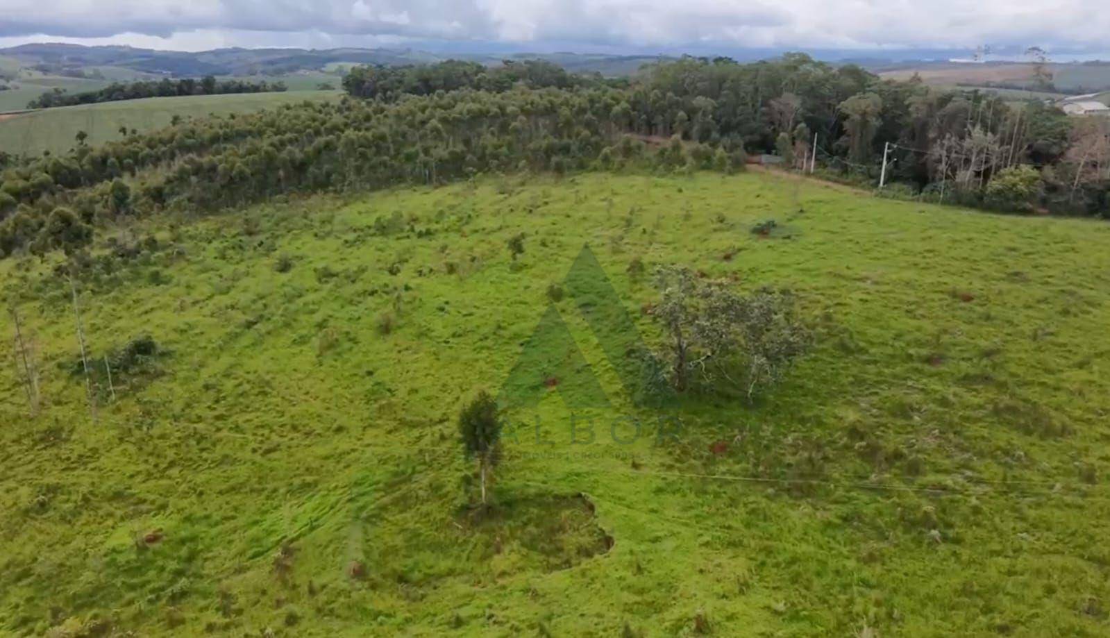 Sítio, 41 hectares - Foto 4