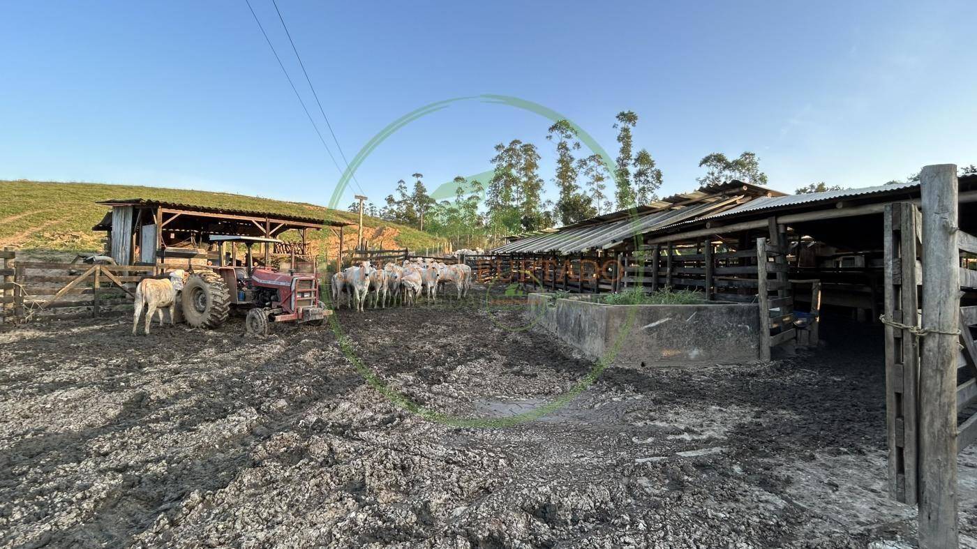 Fazenda, 507 m² - Foto 7