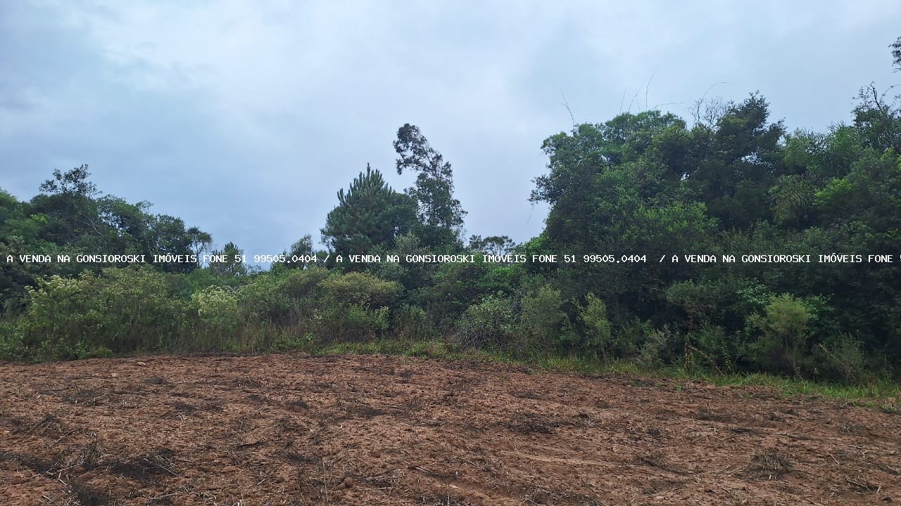 Loteamento e Condomínio à venda, 7250m² - Foto 4