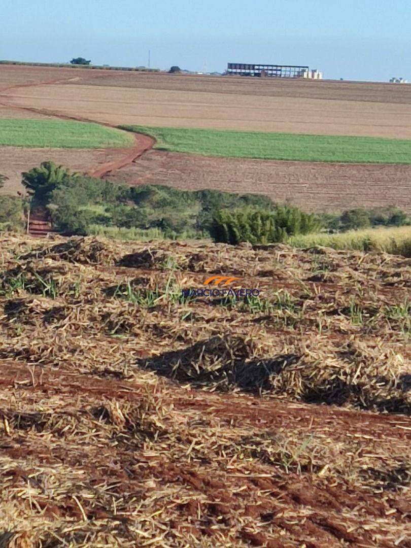 Fazenda, 155 hectares - Foto 4