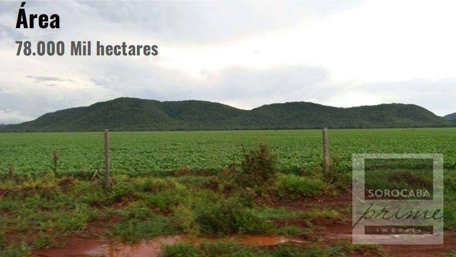 Fazenda à venda, 780000000M2 - Foto 10