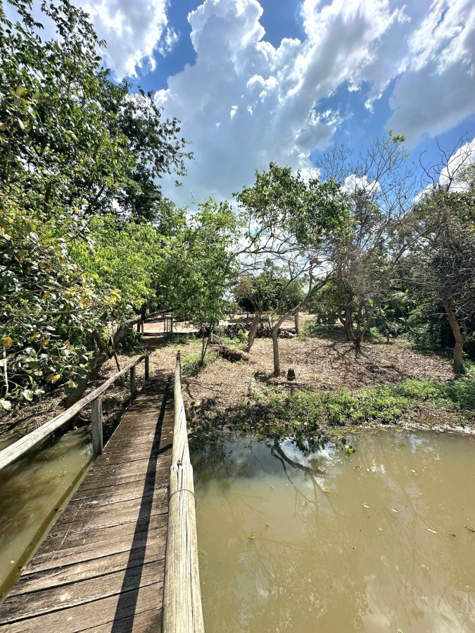 Chácara à venda com 2 quartos, 5000m² - Foto 10