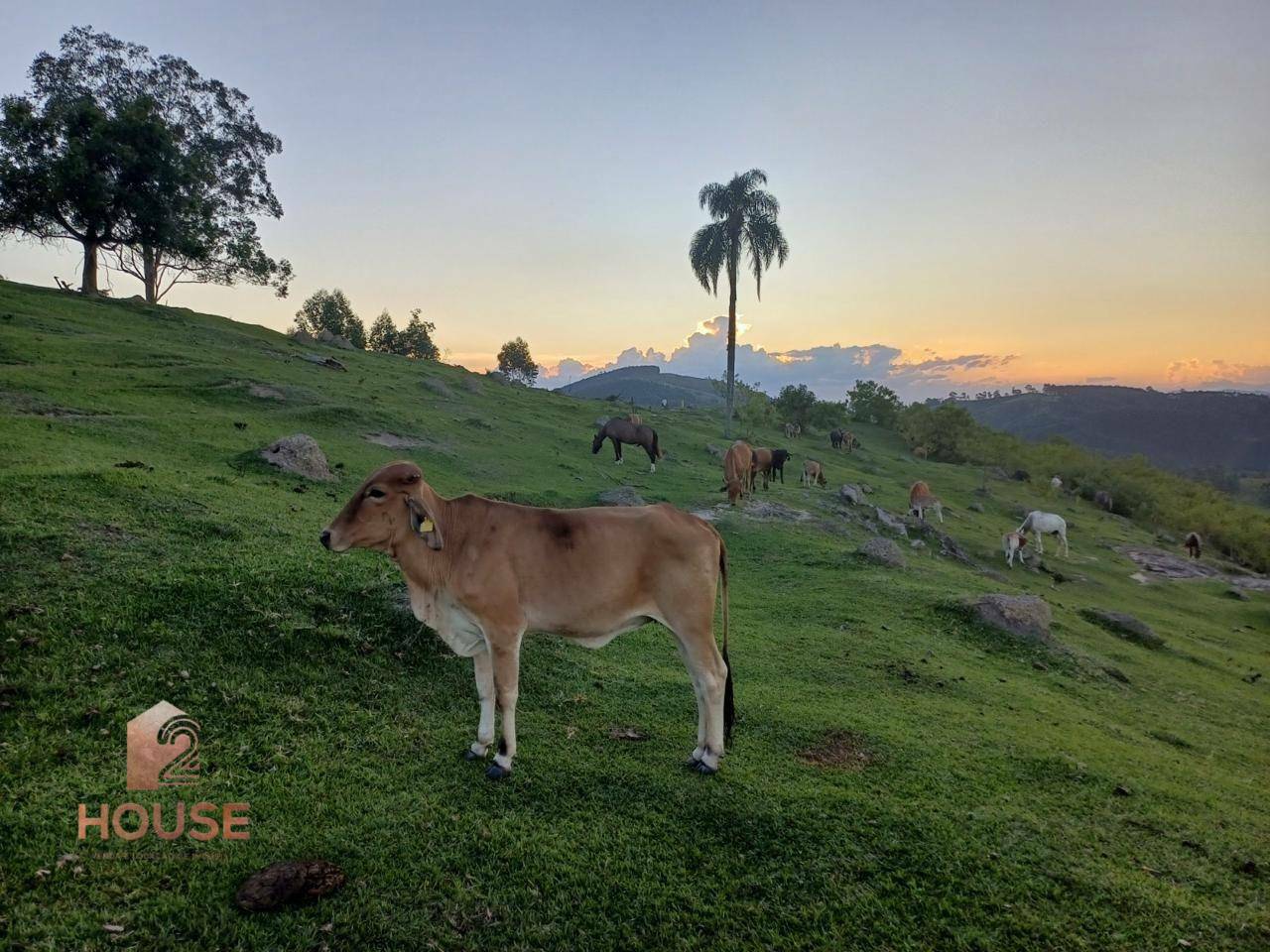 Fazenda à venda, 410000M2 - Foto 4