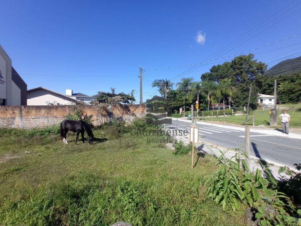 Terreno à venda, 540M2 - Foto 7