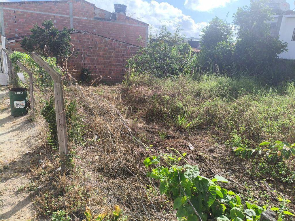 Terreno, 270 m² - Foto 5