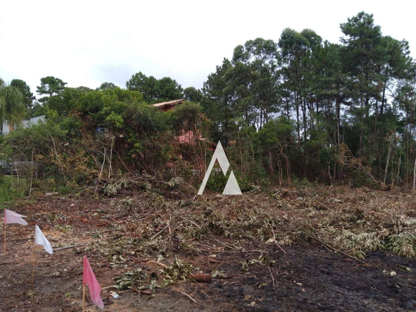 Terreno à venda, 360M2 - Foto 3