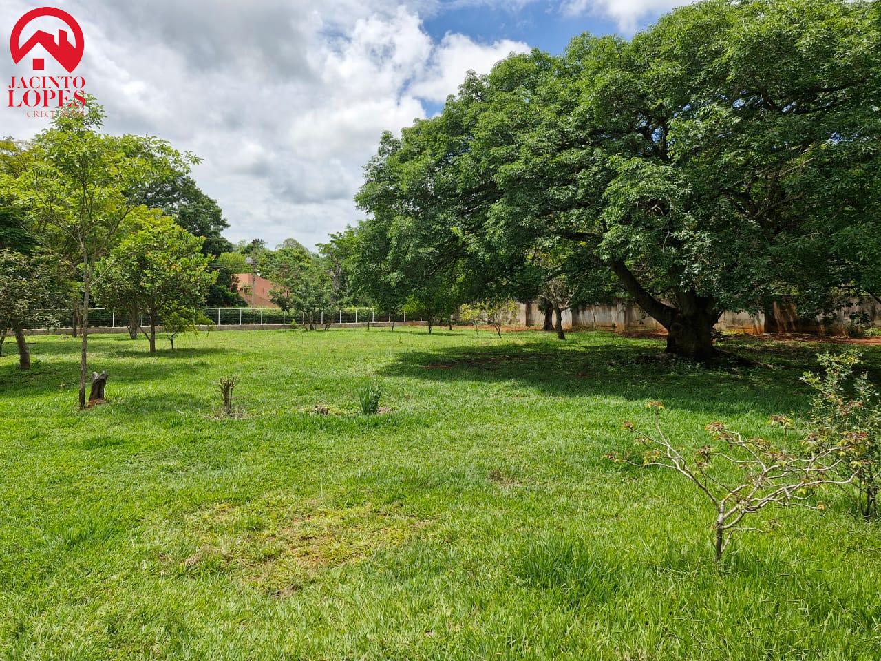 Fazenda à venda com 3 quartos, 250m² - Foto 4