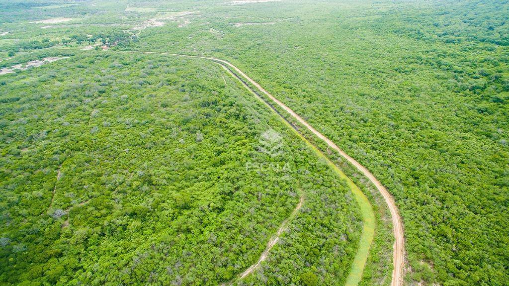 Fazenda à venda com 1 quarto, 1m² - Foto 5