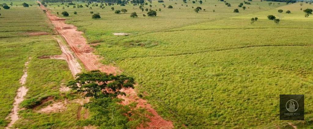 Fazenda à venda, 47720000M2 - Foto 19