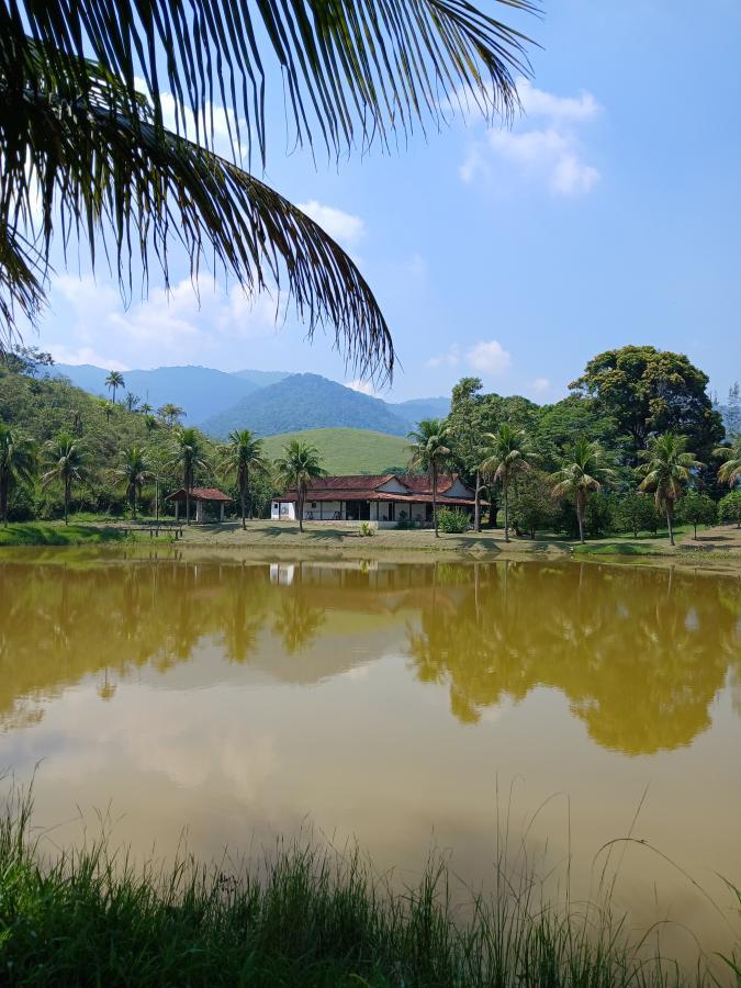 Fazenda à venda com 3 quartos, 26000m² - Foto 10