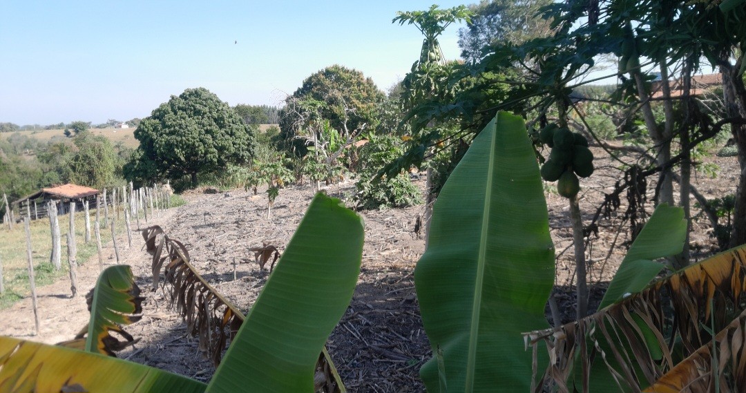 Chácara à venda, 7200m² - Foto 2
