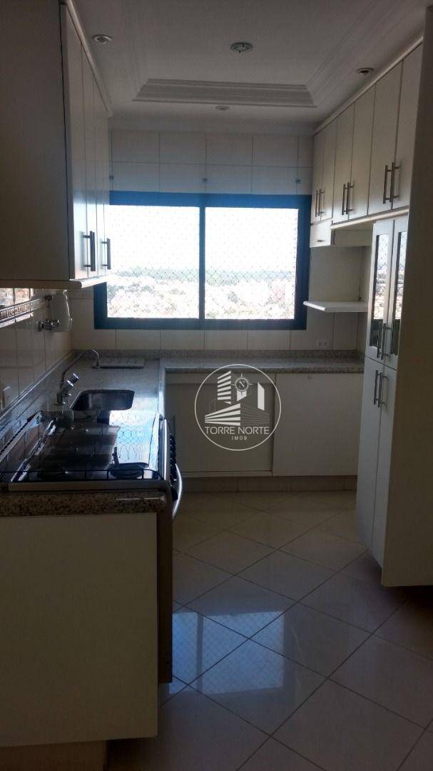 Cobertura, 4 quartos, 250 m² - Foto 10