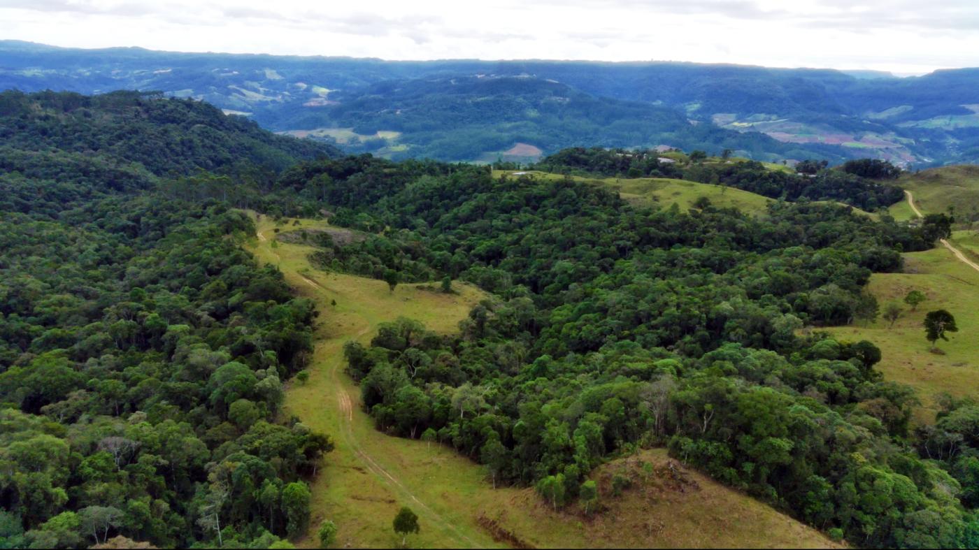 Fazenda à venda com 2 quartos, 862000m² - Foto 9