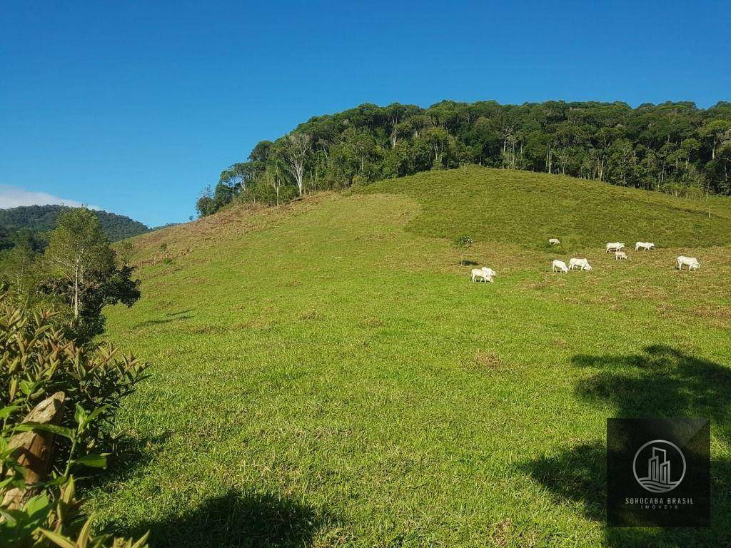 Fazenda à venda, 202000M2 - Foto 1