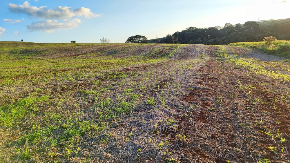 Fazenda à venda, 13m² - Foto 8