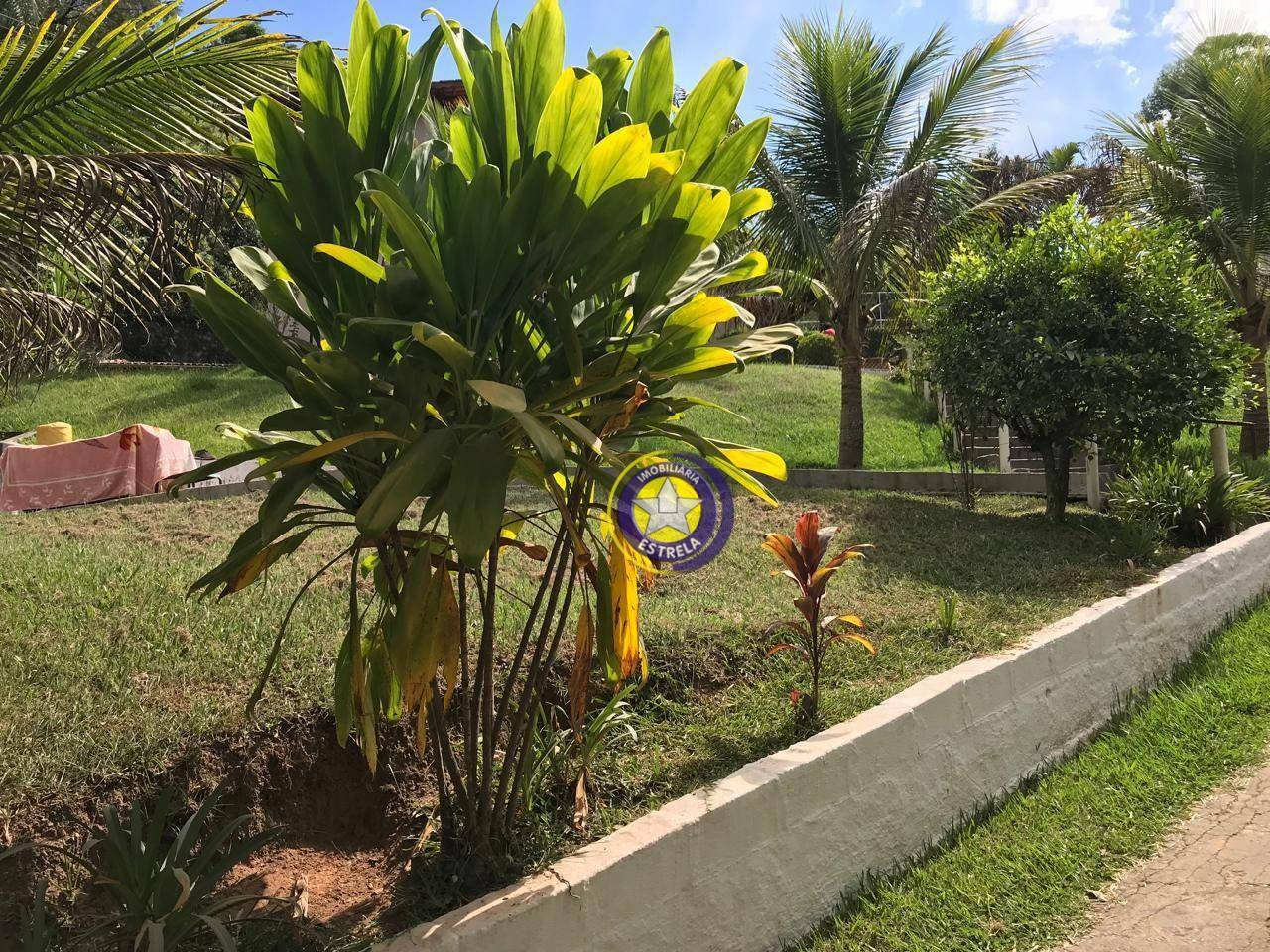 Chácara à venda com 4 quartos, 3200M2 - Foto 2