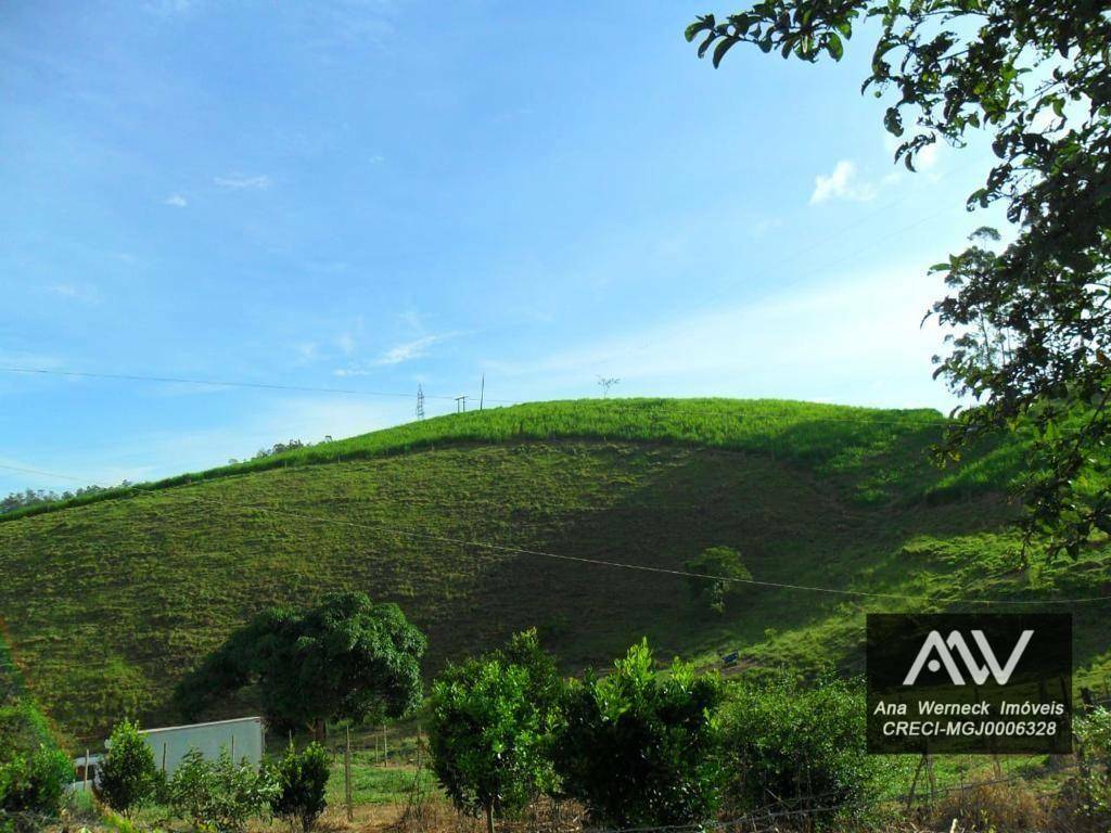 Chácara à venda com 5 quartos, 170000M2 - Foto 4