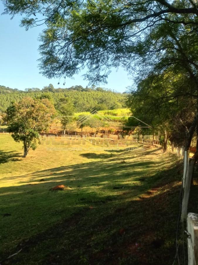 Fazenda à venda com 3 quartos, 25m² - Foto 17