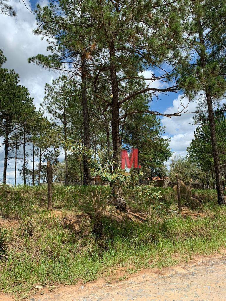 Terreno à venda, 1000M2 - Foto 3