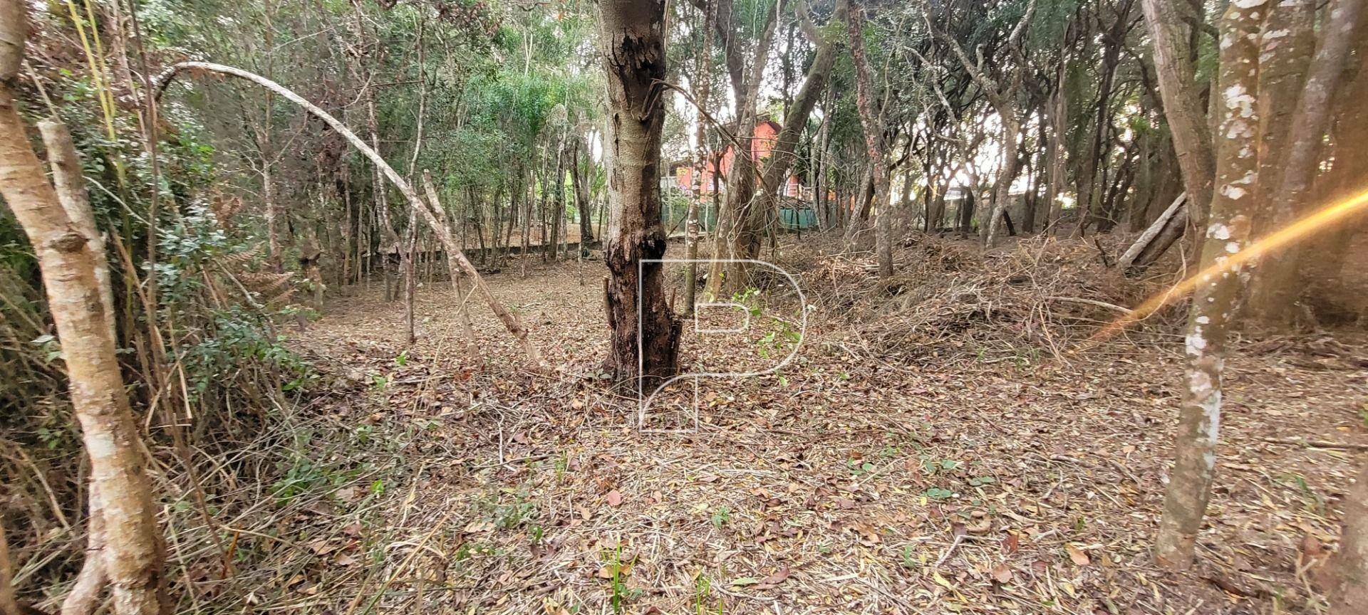 Loteamento e Condomínio à venda, 1500M2 - Foto 1