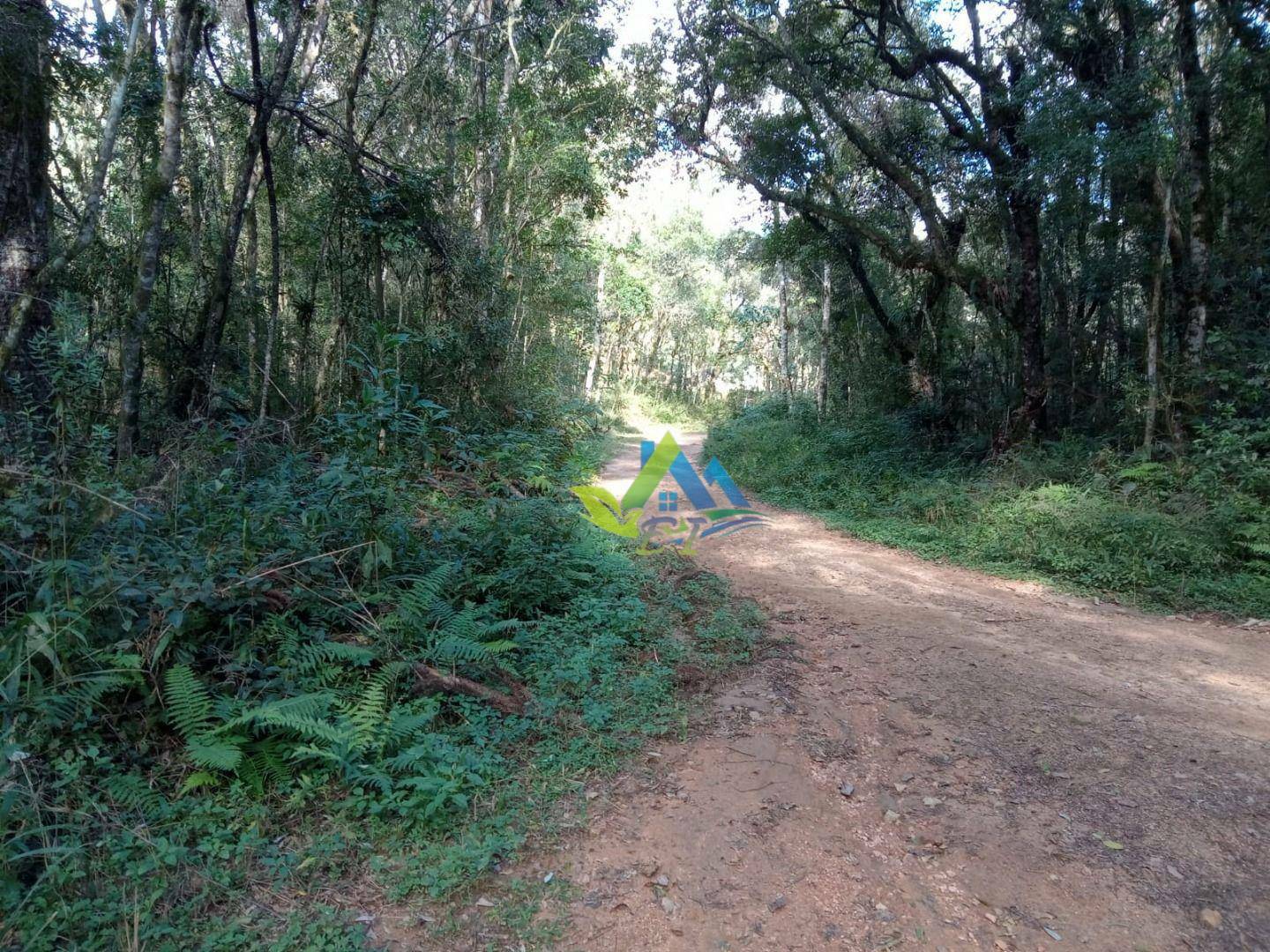 Chácara à venda com 30 quartos, 85000M2 - Foto 35