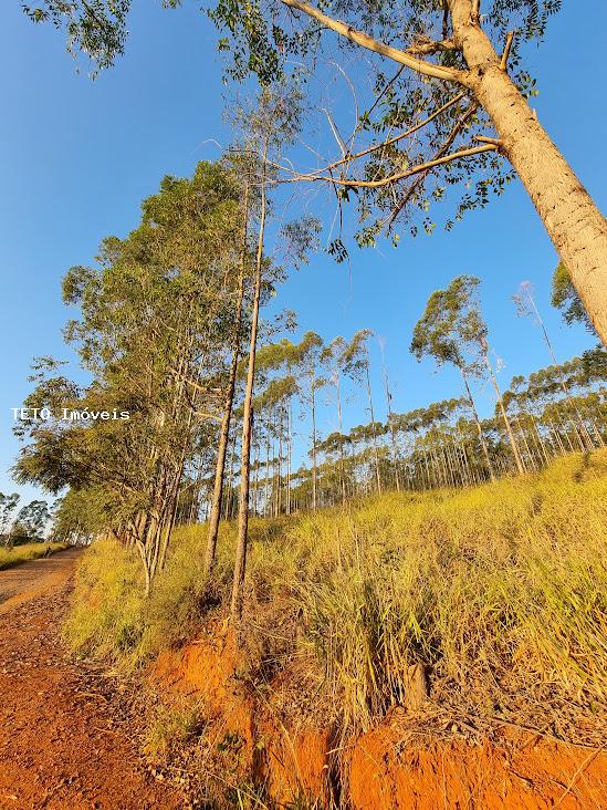 Terreno à venda, 2079m² - Foto 20