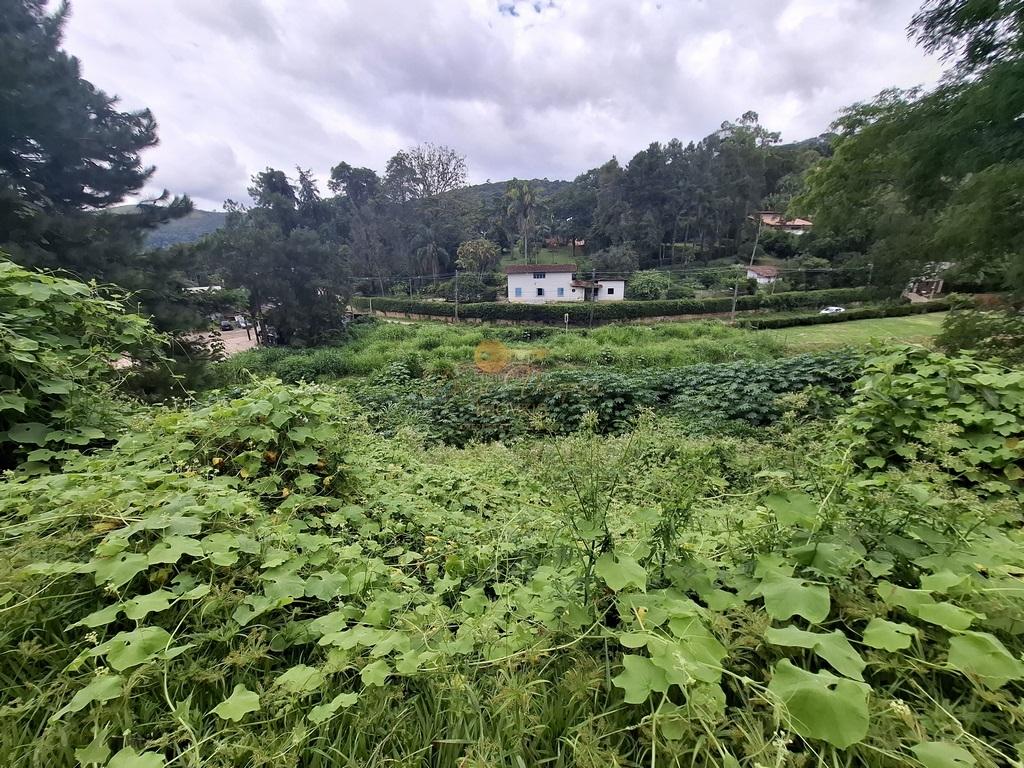 Terreno à venda, 11000m² - Foto 14