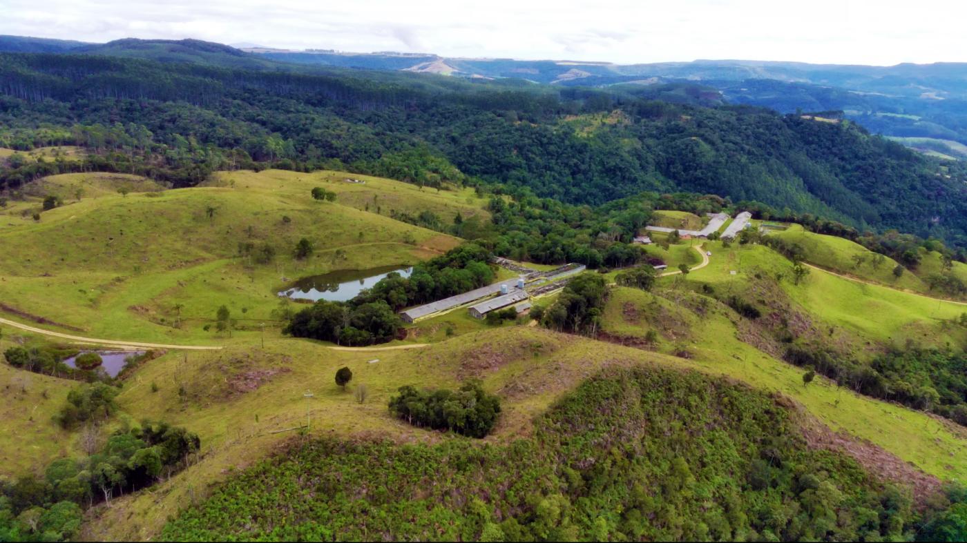 Fazenda à venda com 2 quartos, 862000m² - Foto 14