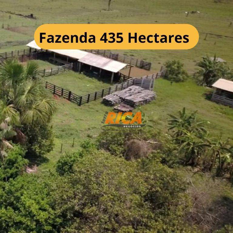 Fazenda-Sítio-Chácara, 435 hectares - Foto 1