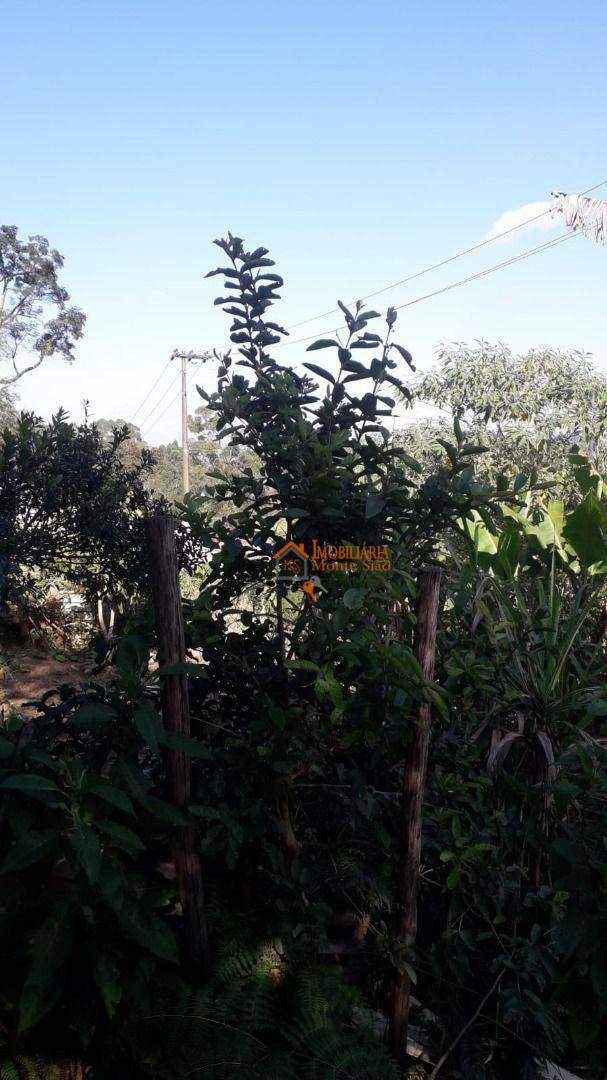 Terreno à venda, 225M2 - Foto 10