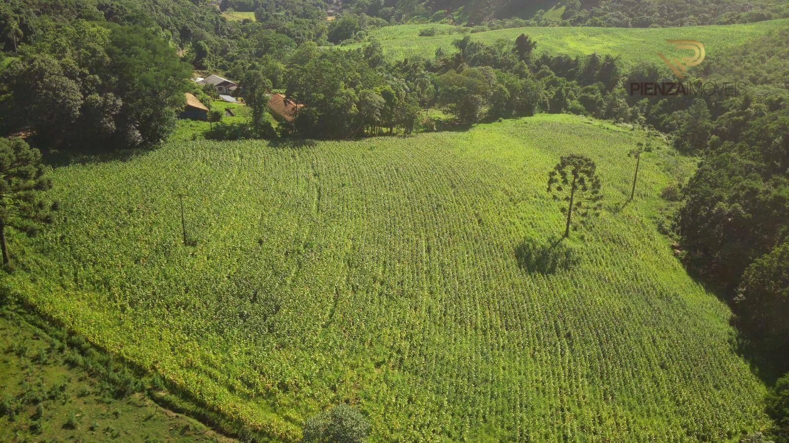 Terreno à venda, 196000M2 - Foto 6