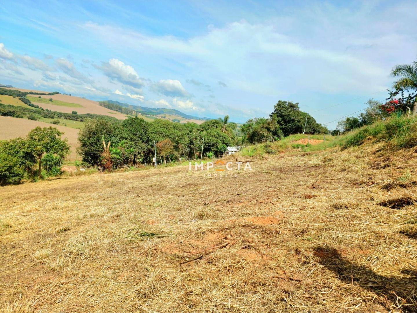 Terreno à venda, 1000M2 - Foto 3