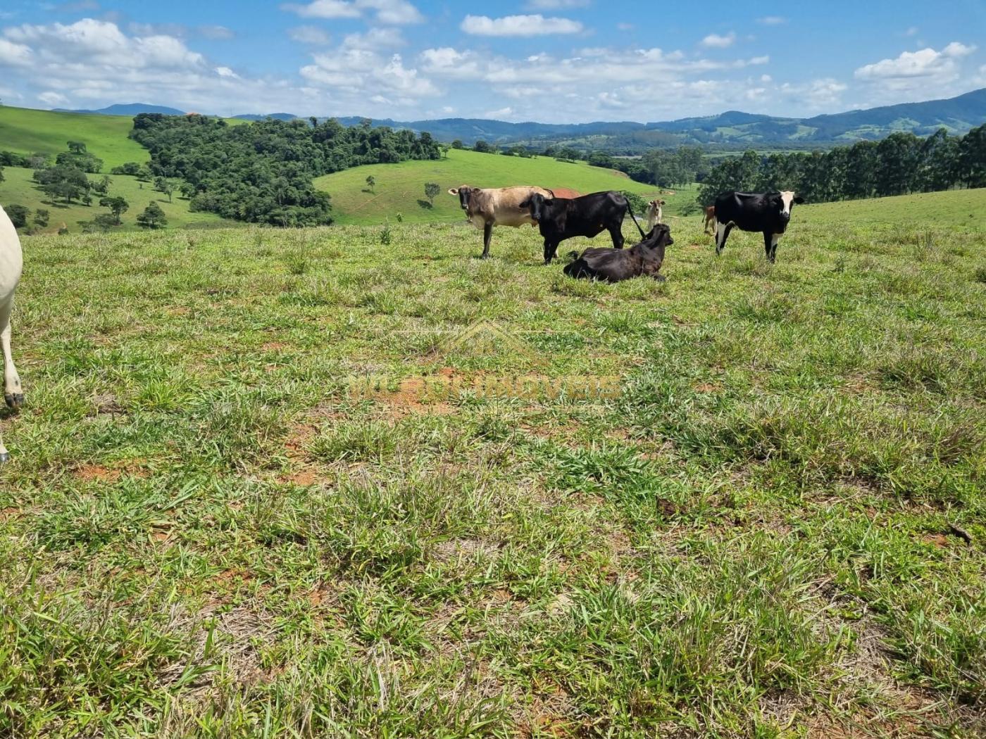 Fazenda à venda, 150m² - Foto 18