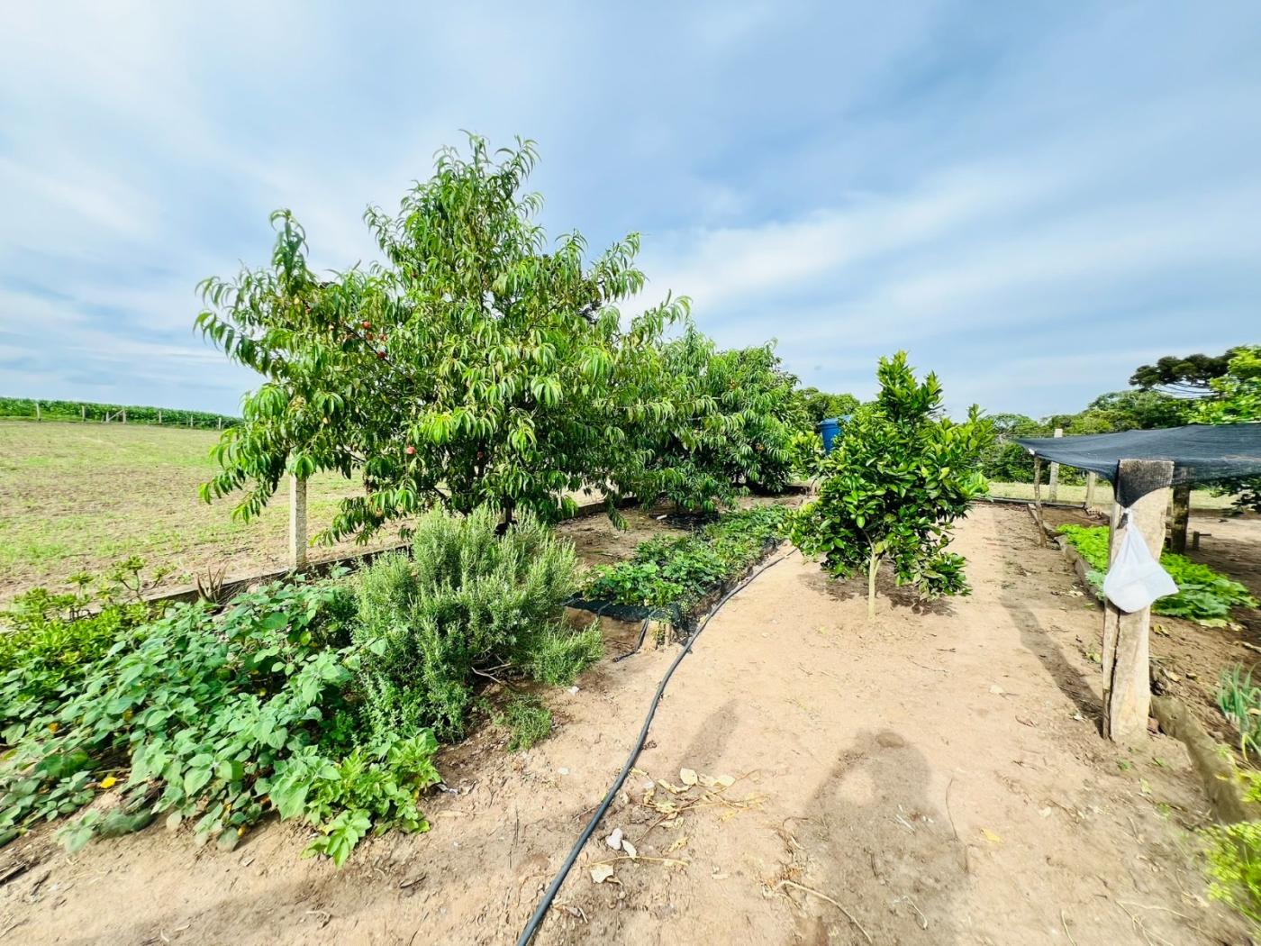 Fazenda à venda, 28000m² - Foto 50