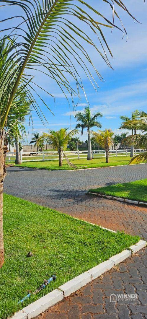 Haras e Área Rural Padrão à venda com 1 quarto, 2140m² - Foto 27