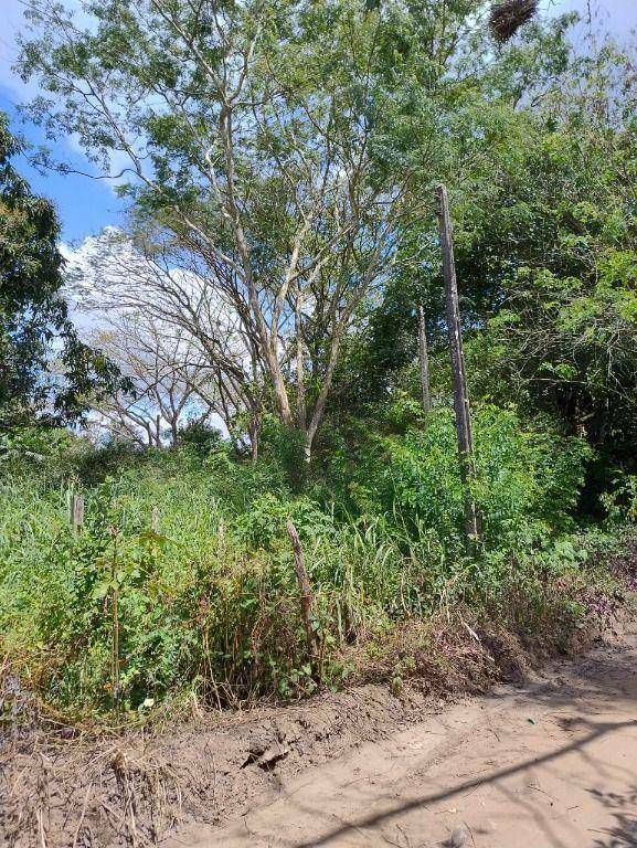 Terreno, 2000 m² - Foto 14