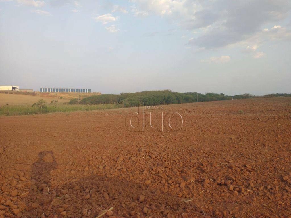 Terreno para alugar, 107000M2 - Foto 1