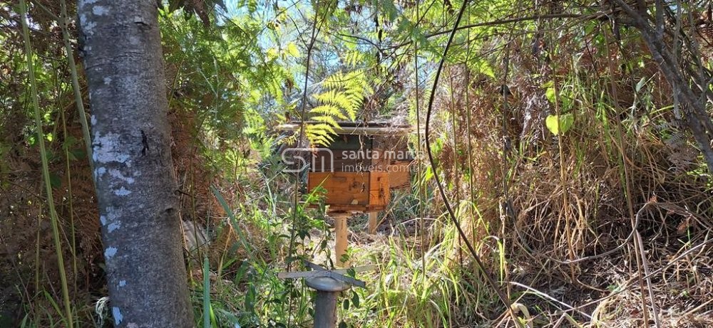 Fazenda à venda com 3 quartos, 64m² - Foto 55