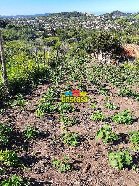 Terreno à venda, 600M2 - Foto 2